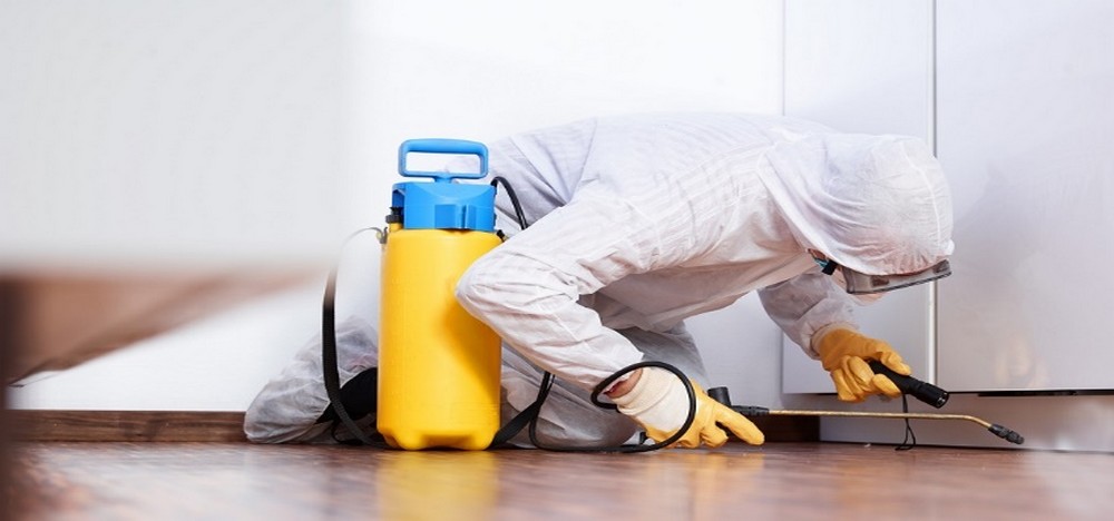 luttez-contre-les-nuisibles-et-envahisseurs-de-vos-appartements-maisons--villas_1