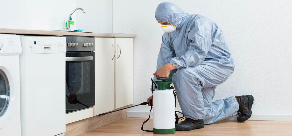 Luttez_contre_les_nuisibles_et_envahisseurs_de_vos_hôtels__7