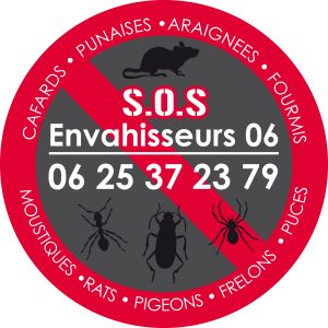 prévention à l'éradication de vos nuisibles : Les rats, les souris, les blattes, les cafards, les punaises de lits, les moustiques, les guêpes, les frelons.