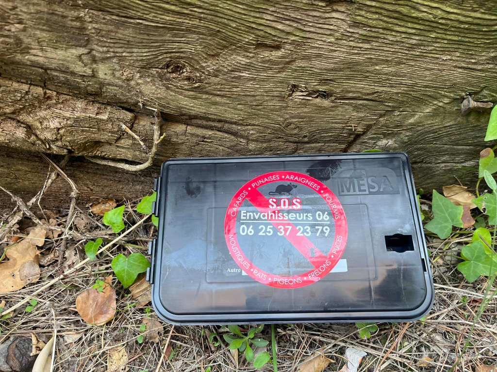 Pièges à rats pour les particuliers et les professionnels.