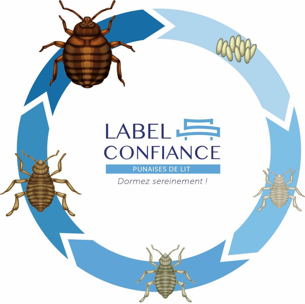 Label confiance punaises de lit